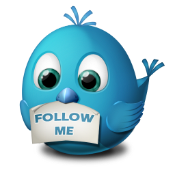 Twitter Follow Me Icon 256x256 png